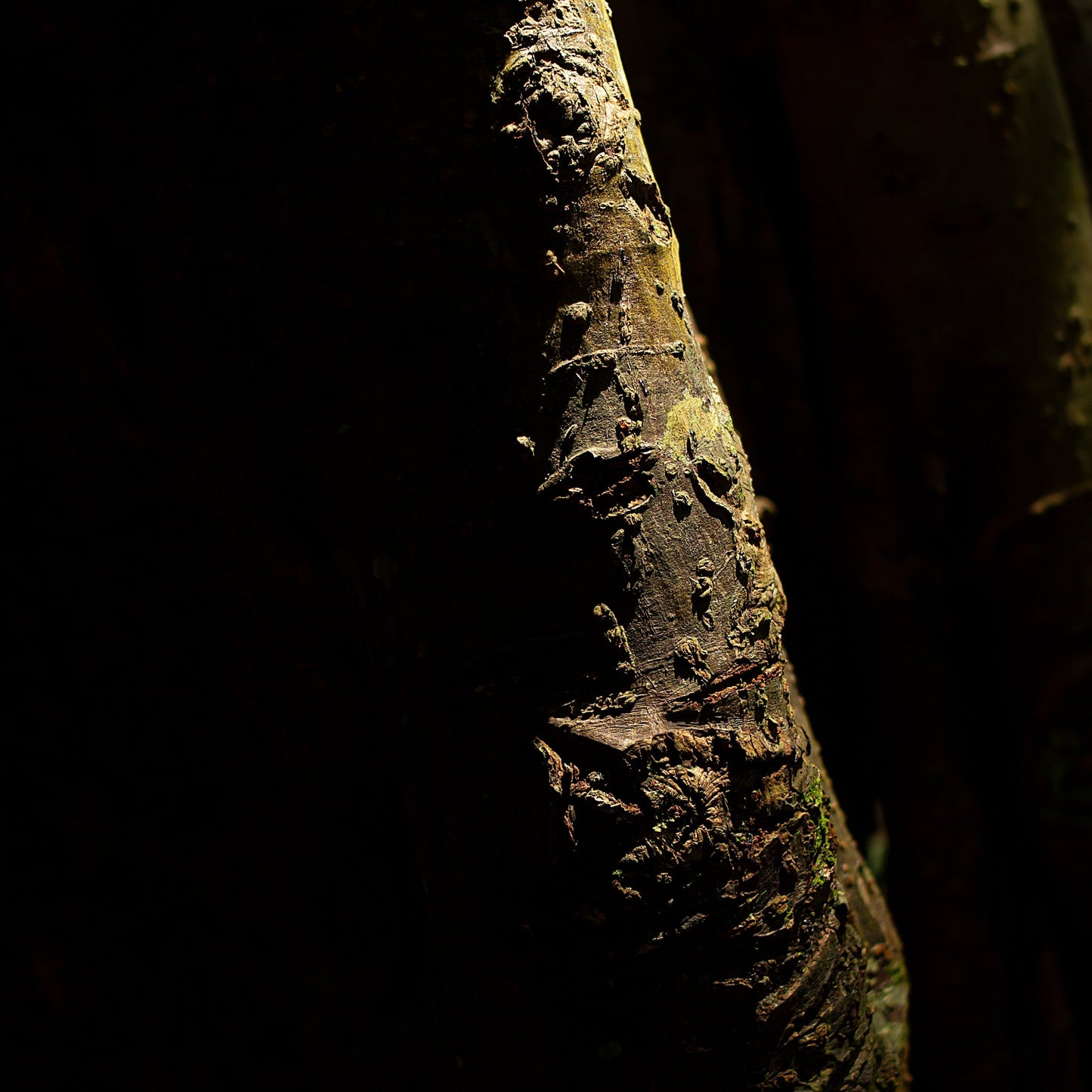 INCHATO GOLD MAXI EARRINGS // RESERVIERT