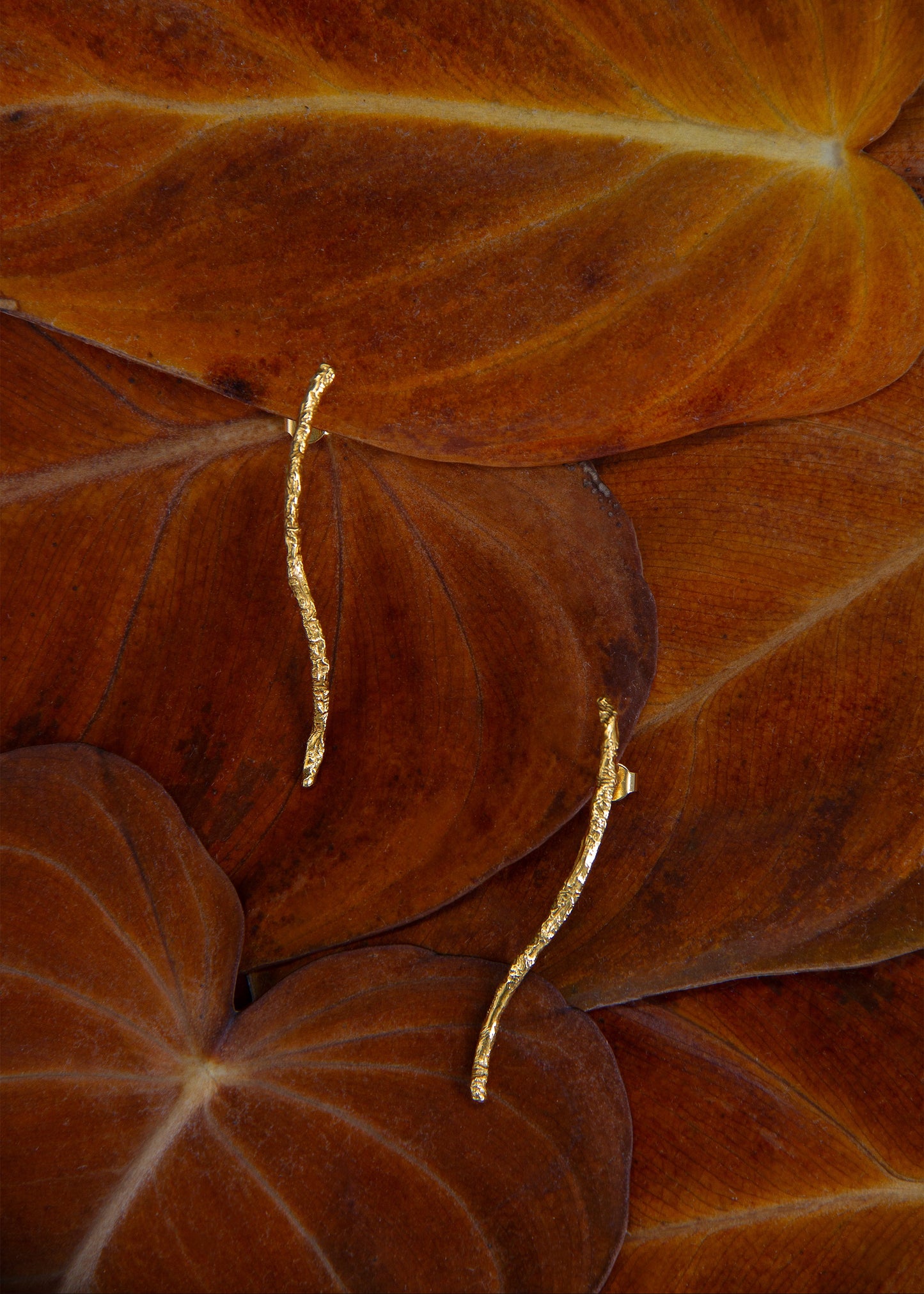 INCHATO SLIM BRANCH GOLD EARRINGS