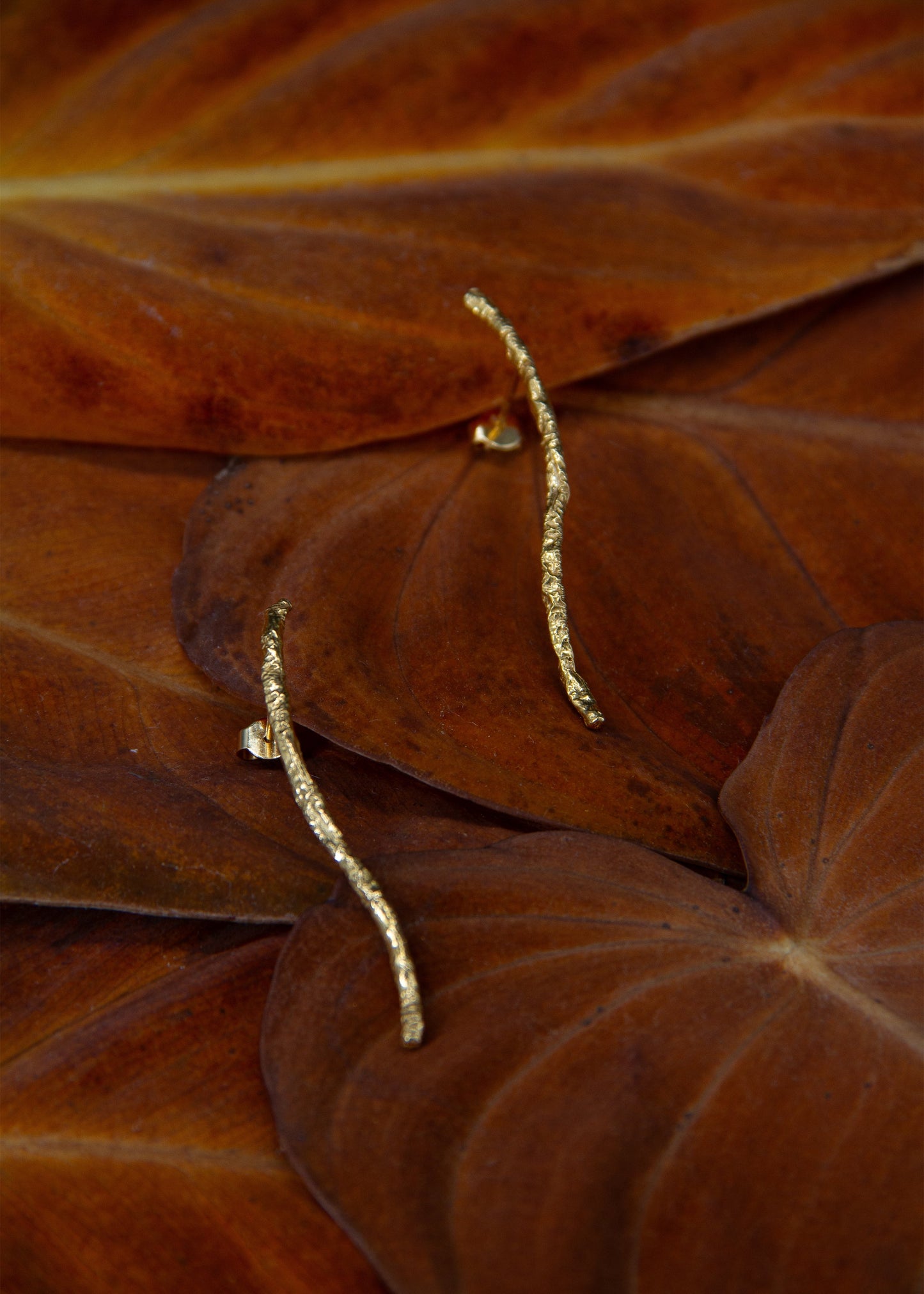 INCHATO SLIM BRANCH GOLD EARRINGS