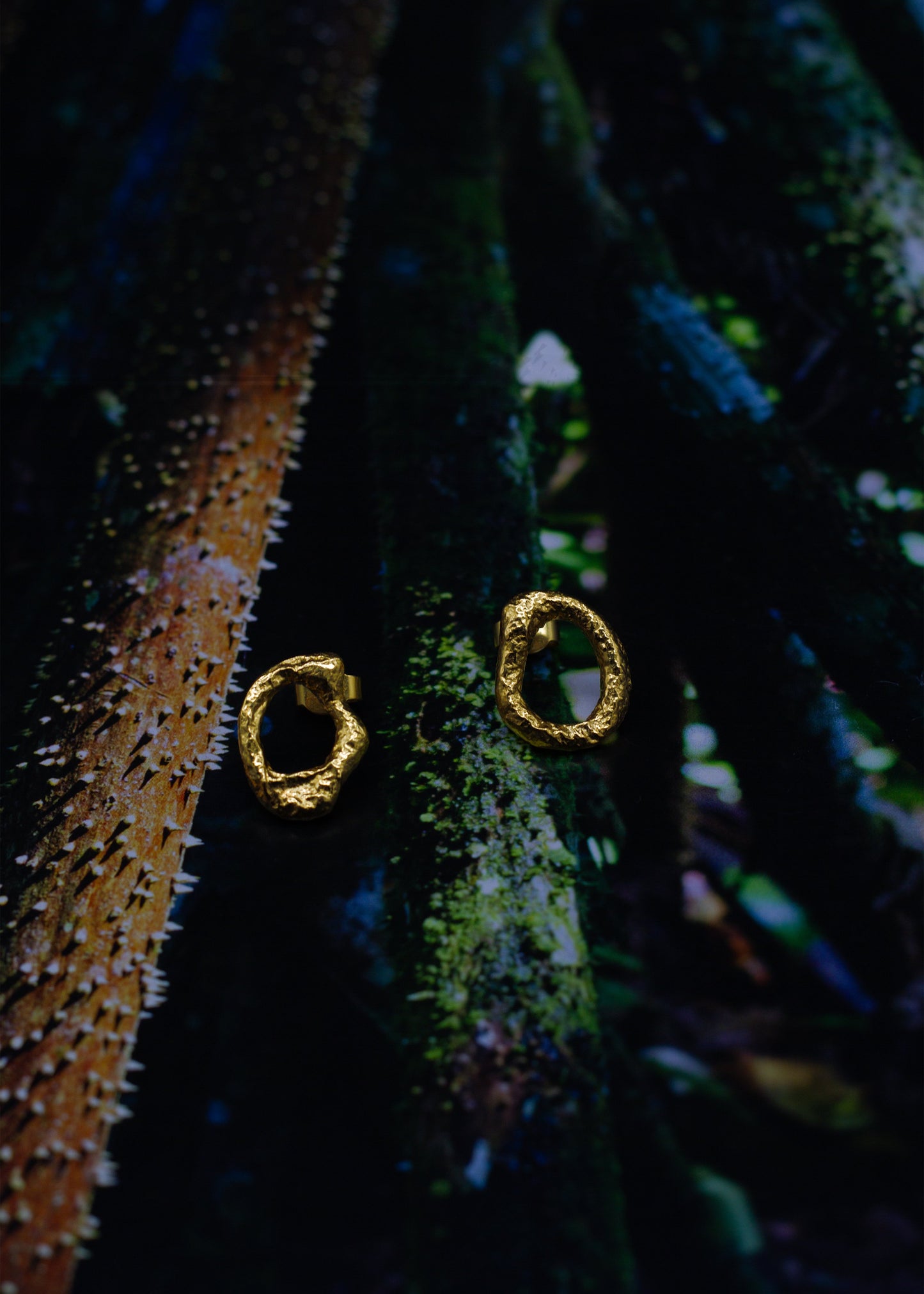 INCHATO CIRCLE GOLD EARRINGS